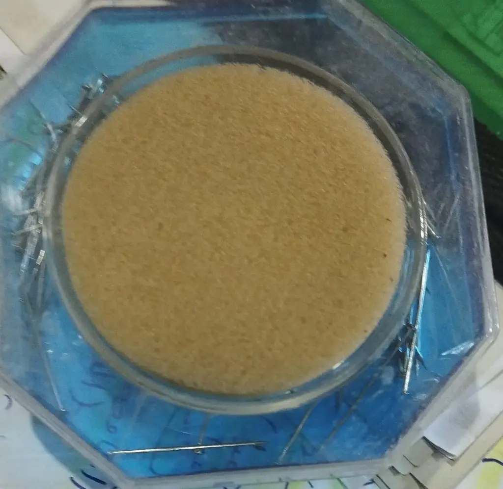  دبابيس صغار داخل علبة زرقاء