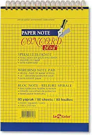 PAPER NOTE 100YAPRAK  CONGORD
