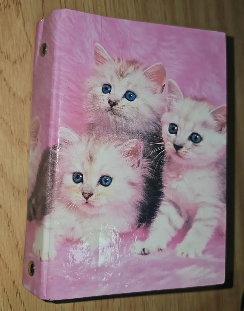 دفتر نوت قطة A6